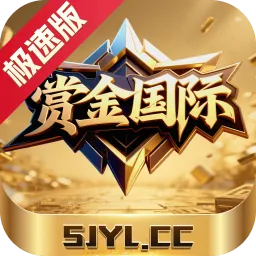 赏金国际 Logo